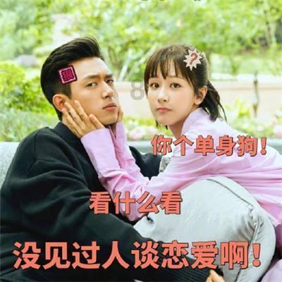剑勇传奇忍者龙剑传Z
